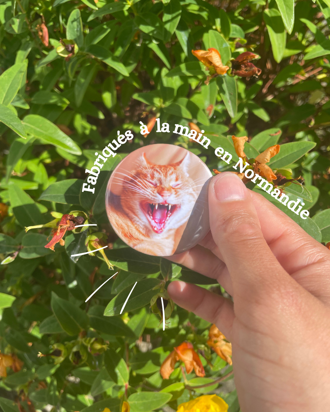 le magnet rond 2