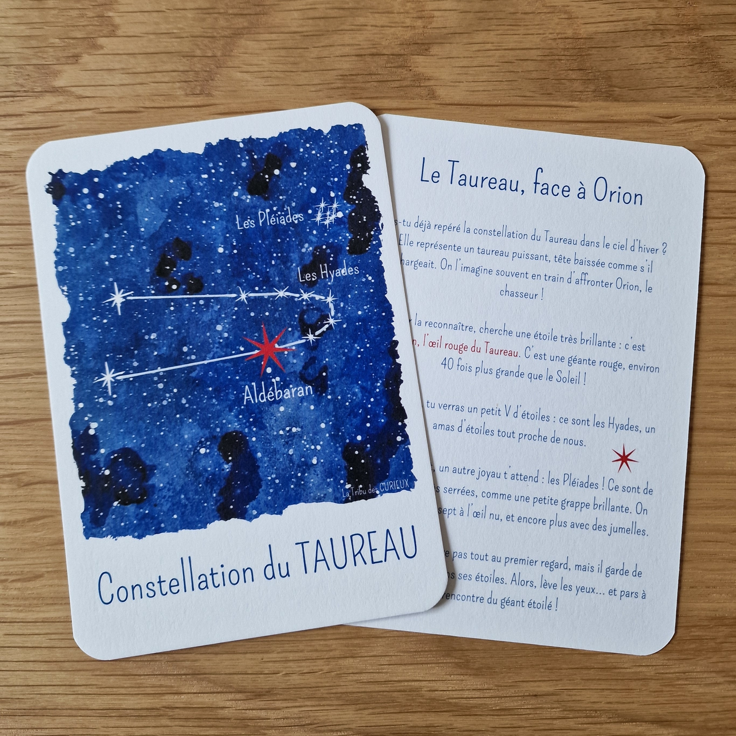 Le Taureau, face à Orion
