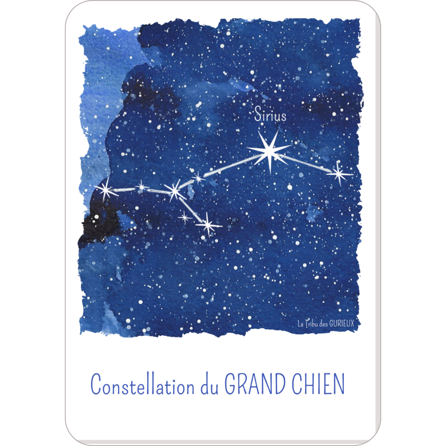Design Carte du ciel étoilé constellation Le Grand Chien (2)