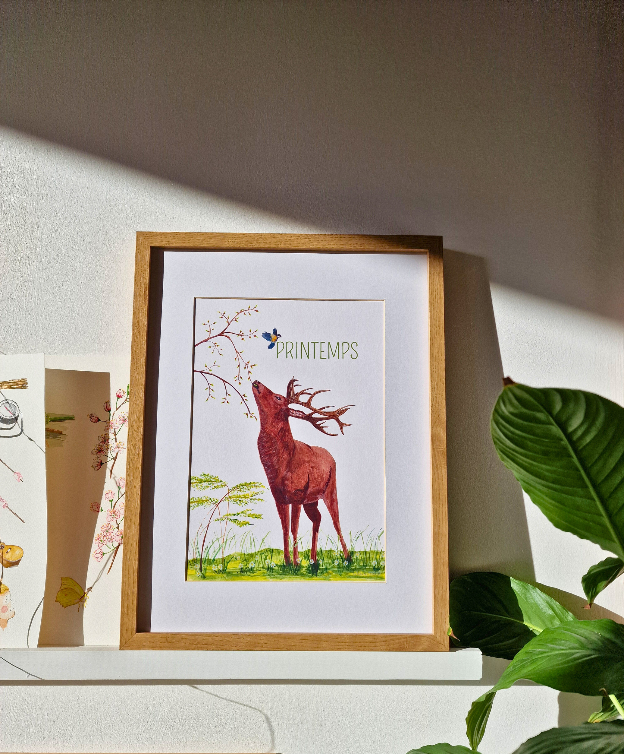 Affiche Printemps collection 4 saisons