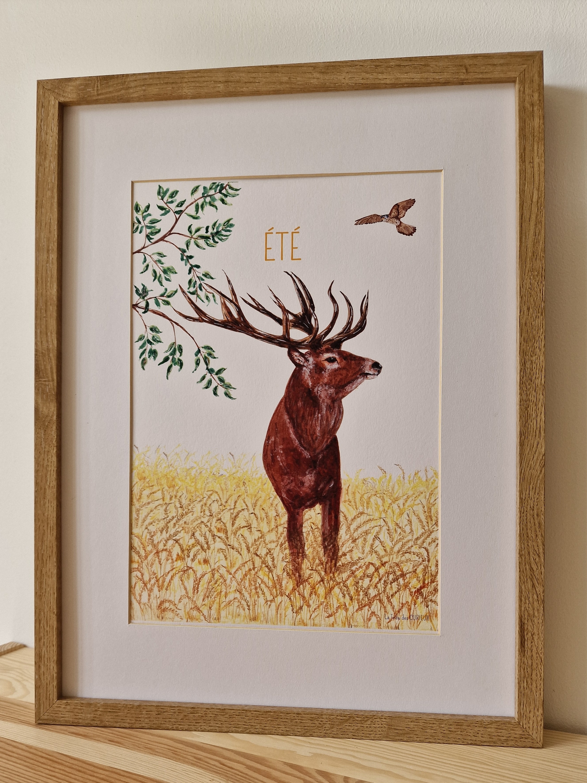 Affiche 4 saisons été