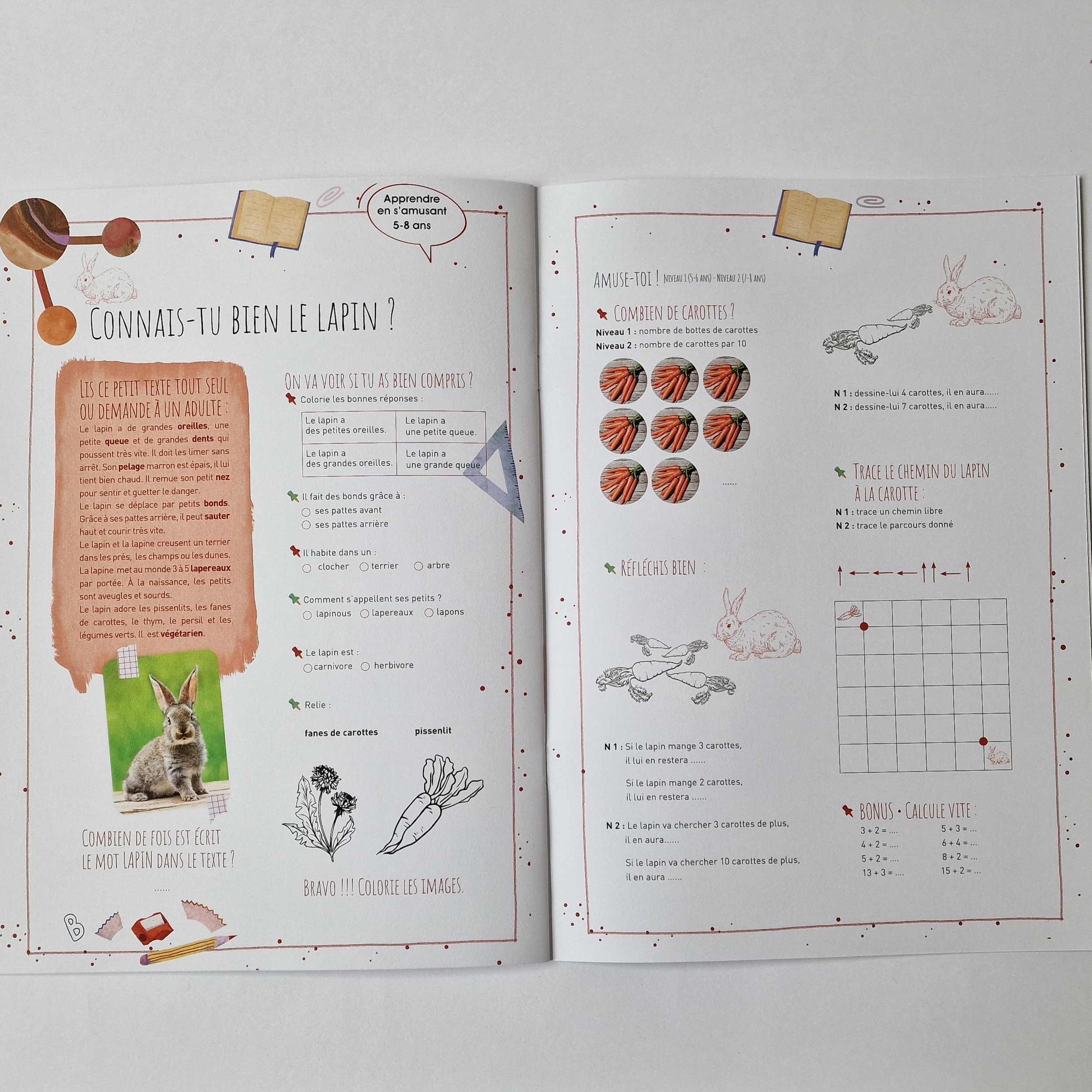 cahier dactivités découvertes et apprentissages