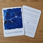 Le Grand Chien, gardien des étoiles