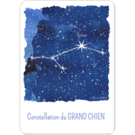 Design Carte du ciel étoilé constellation Le Grand Chien (2)