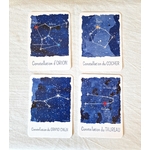 4-cartes-constellations-ciel-d-hiver.jpg