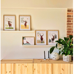 Lot affiches 4 saisons 1