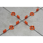 rls-vis-utilisation-raimondi-2
