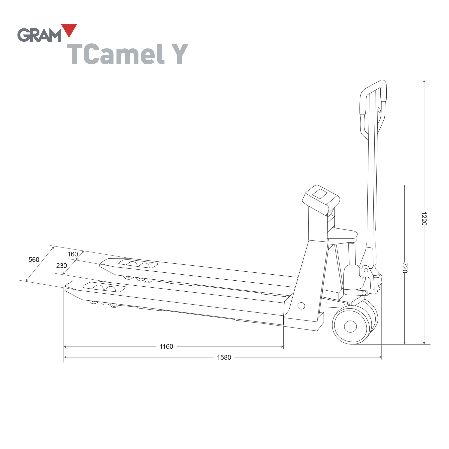 TCAMEL_Y_1800X1800_005