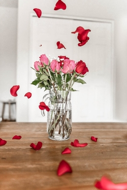 Roses Roses Et Rouges Sur Pichet En Verre Transparent