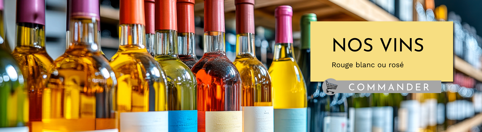 Vins