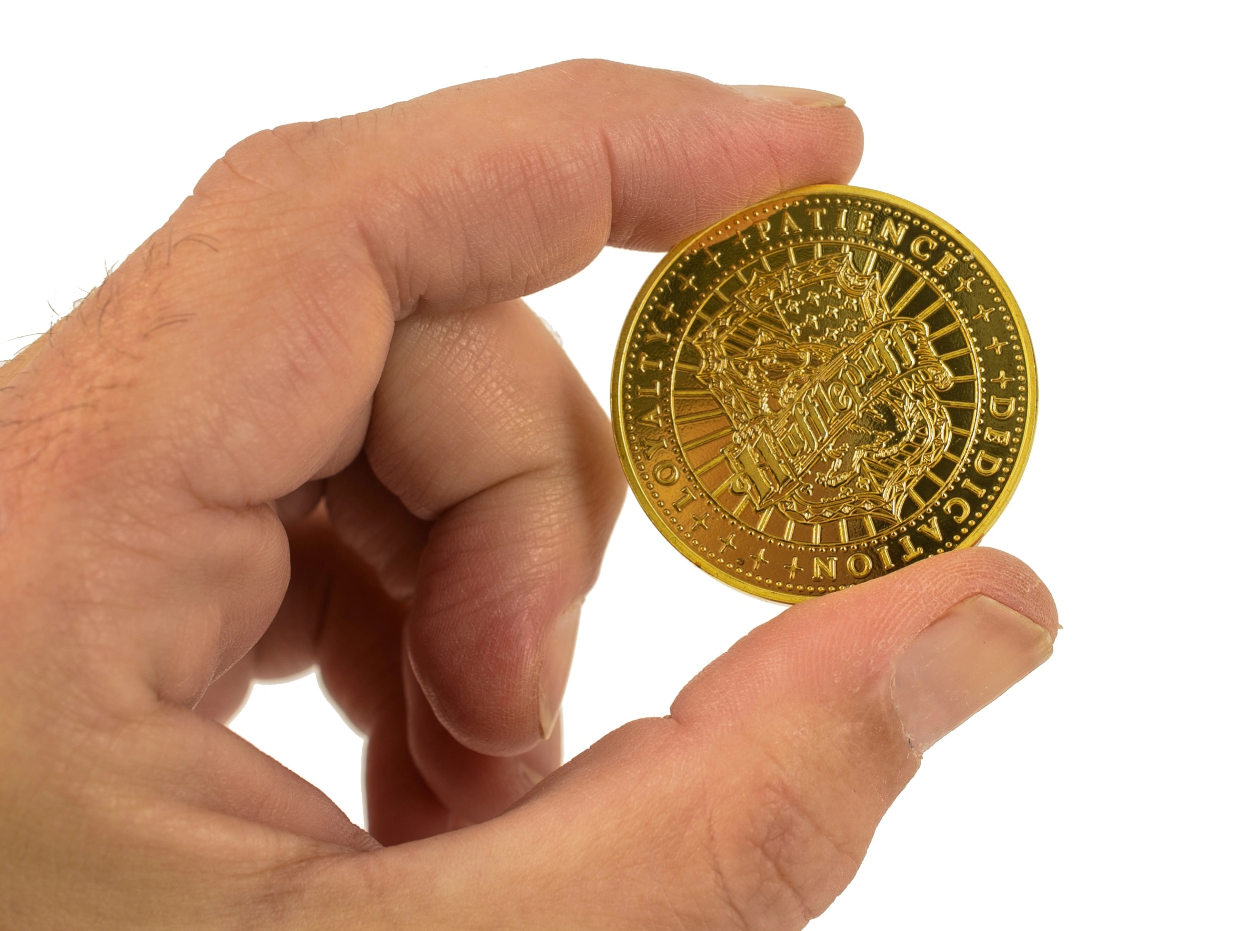 Harry_Potter_Hufflepuff_House_Coin_ScalePic_1_1729007354