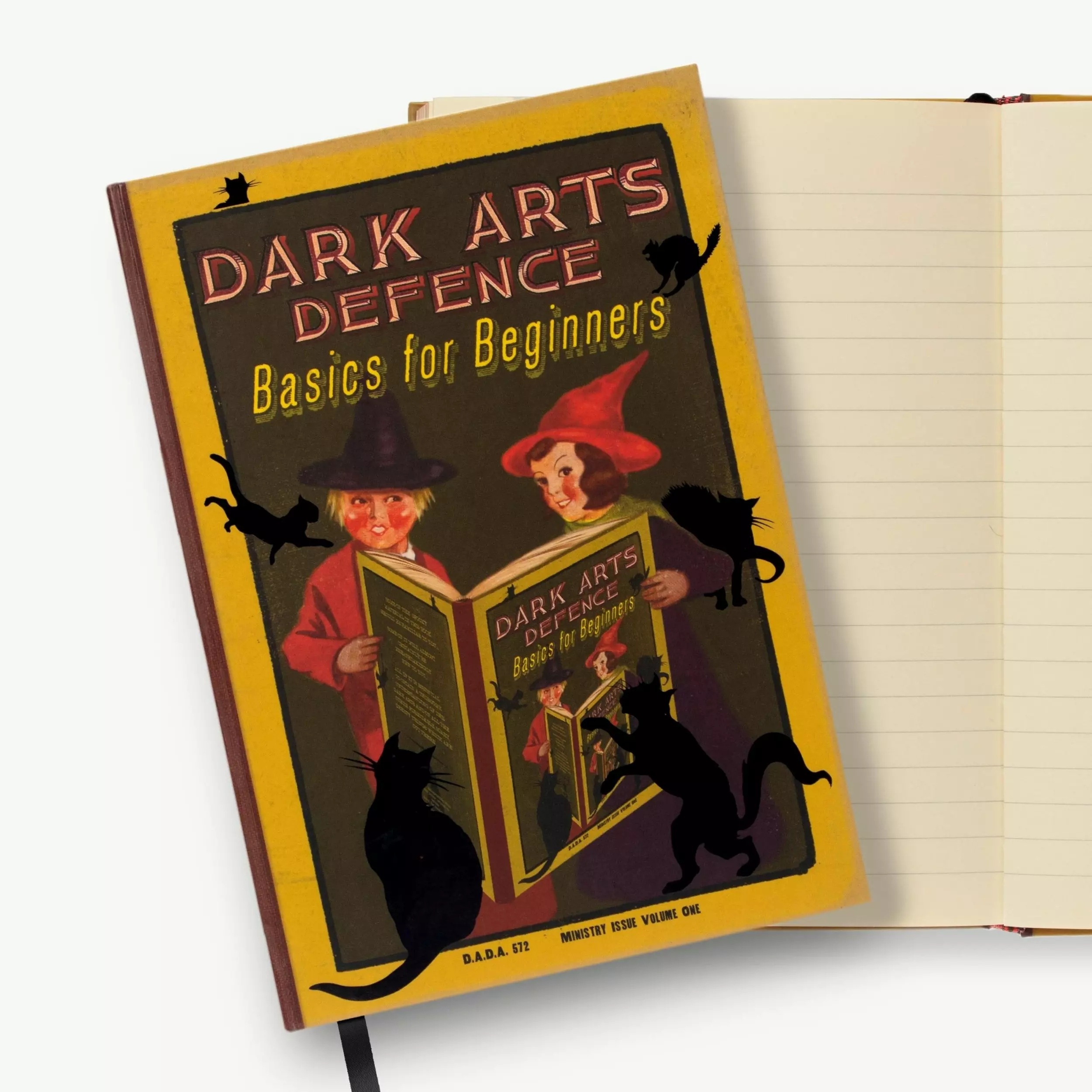 journal-livres-de-sorciers-bases-de-la-defense-contre-les-arts-sombres-pour-les-debutants-minalima-hj07-3