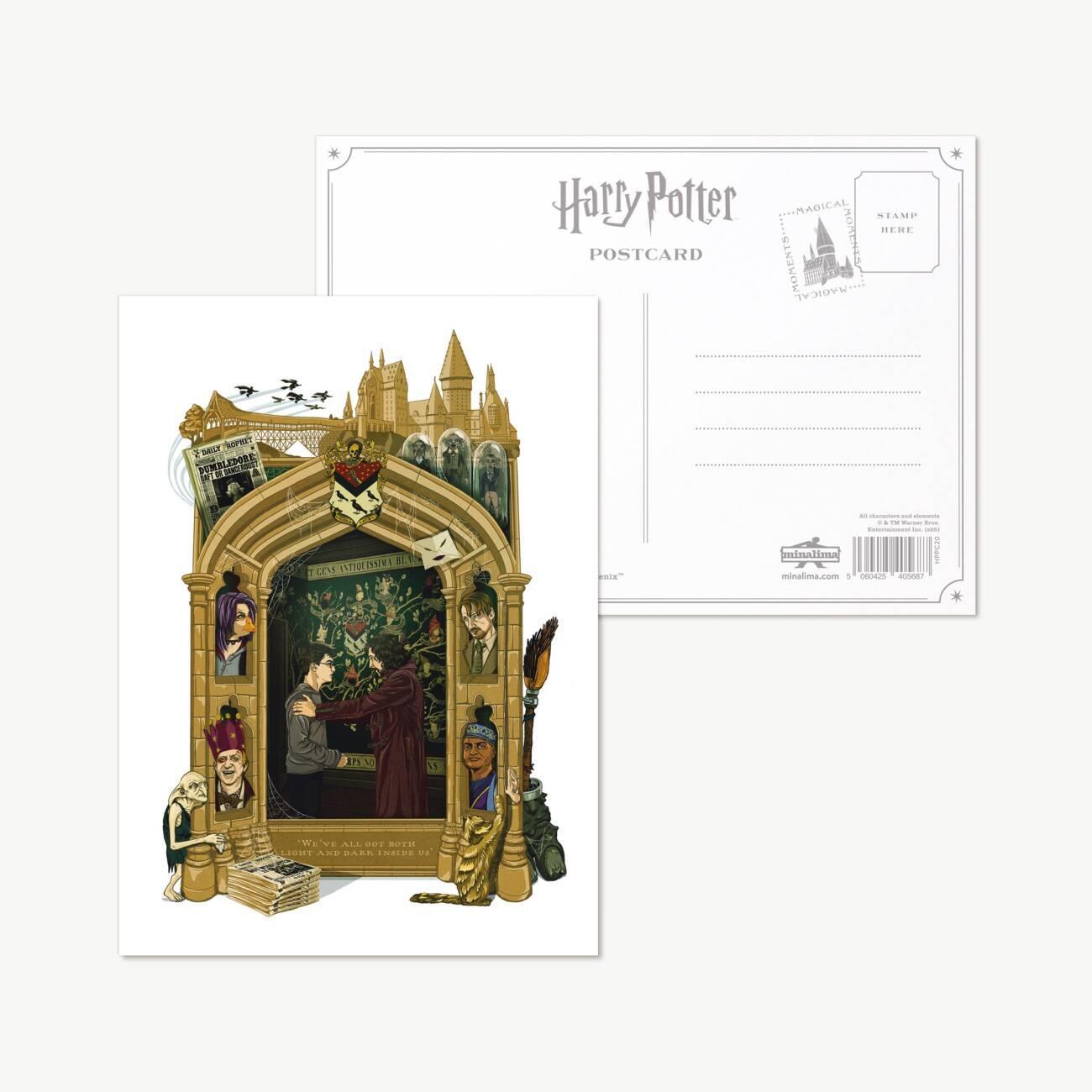 cartqjtu3d-cartqjtu3d-1-carte-postale-harry-sirius-tapisserie