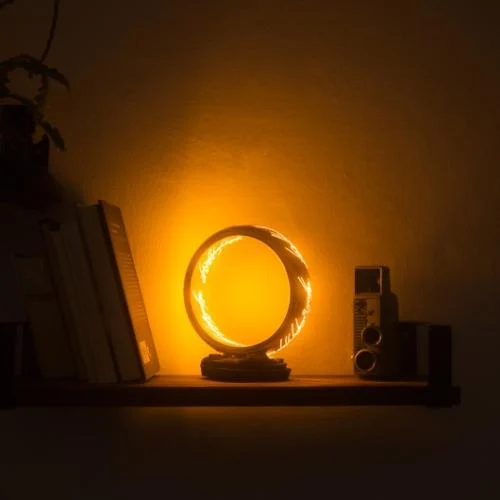 FIGLAMP007_2.jpg