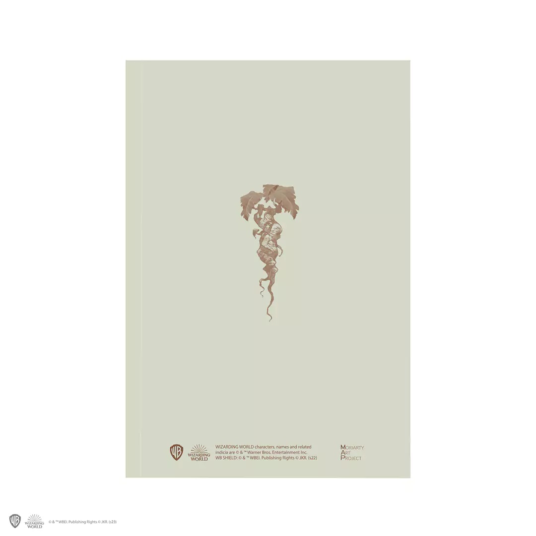 MAP5175_VUE2_1080