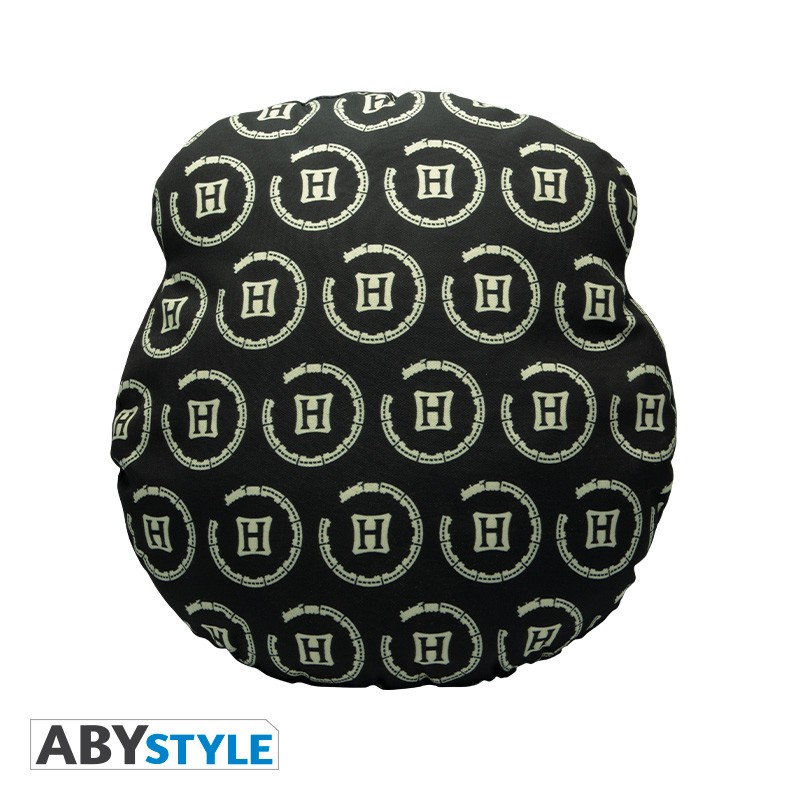 harry-potter-coussin-voie-9-3-43