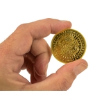 Harry_Potter_Hufflepuff_House_Coin_ScalePic_1_1729007354
