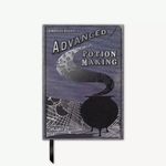 livres-de-sorcier-journal-fabrication-de-potions-avancees-edition-ii-minalima-1