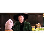 867983-maggie-smith-l-inegalable-professeur-mcgonagall-dans-harry-potter-est-decedee