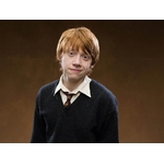ronald-weasley-wallpaper-ronald-weasley-25505354-1024-768