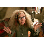 sibylle-trelawney-axcio-les-3-reliques-boutique-harry-potter-bourg-en-bresse-27918