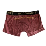 harry-potter-platform-9-3-4-boxer-alsonadrag-460569253