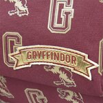 sac-a-dos-harry-potter-gryffondor-institut (1)