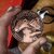 Hufflepuff_Medallion_7_1651850279