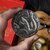 Slytherin_Medallion_7_1651850384