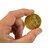 Harry_Potter_Hufflepuff_House_Coin_ScalePic_1_1729007354