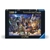 FIGRAV175611_1