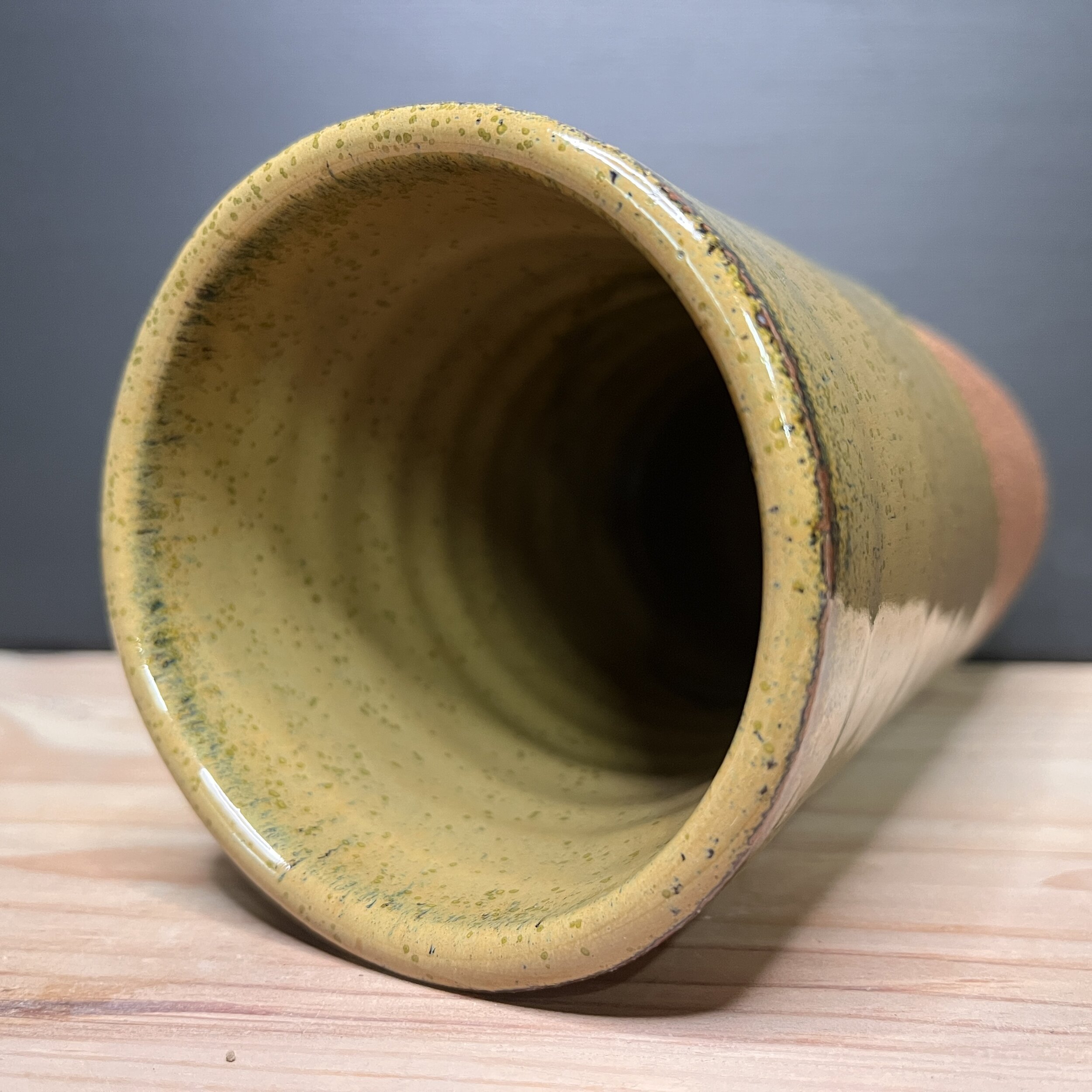Vase V01IMG_1500