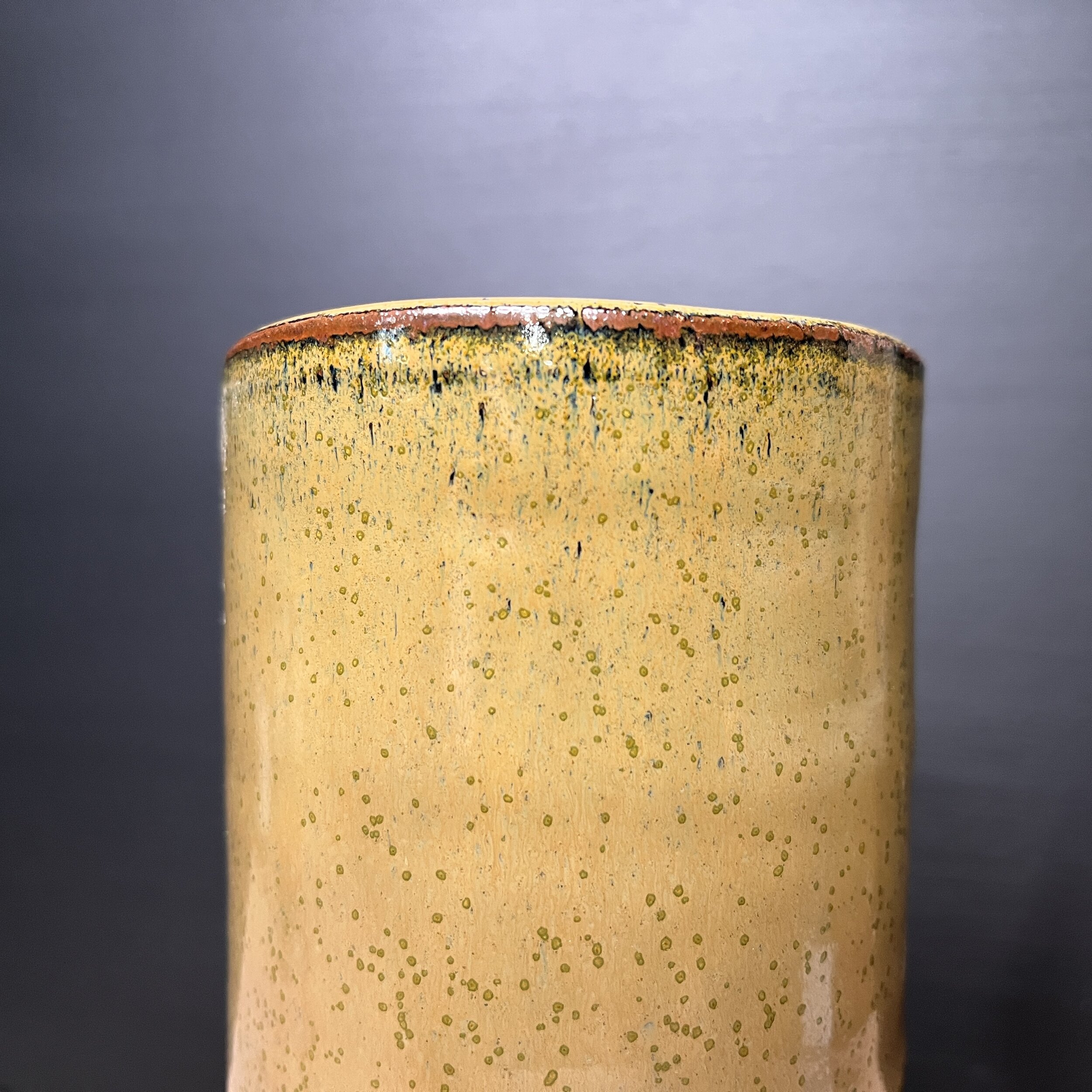 Vase V01IMG_1503