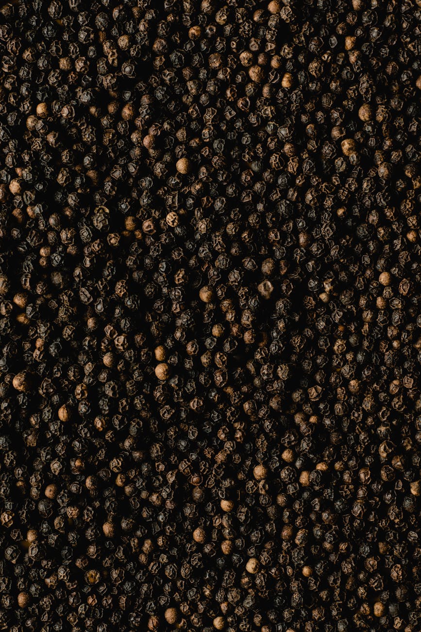 Illustration Ronde Noire Et Jaune