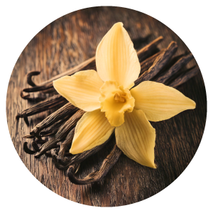 Vanille de bourbon