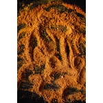 Photos gratuites de amas, aromatique, arôme