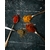 Photos gratuites de agencement, aliments, assaisonner