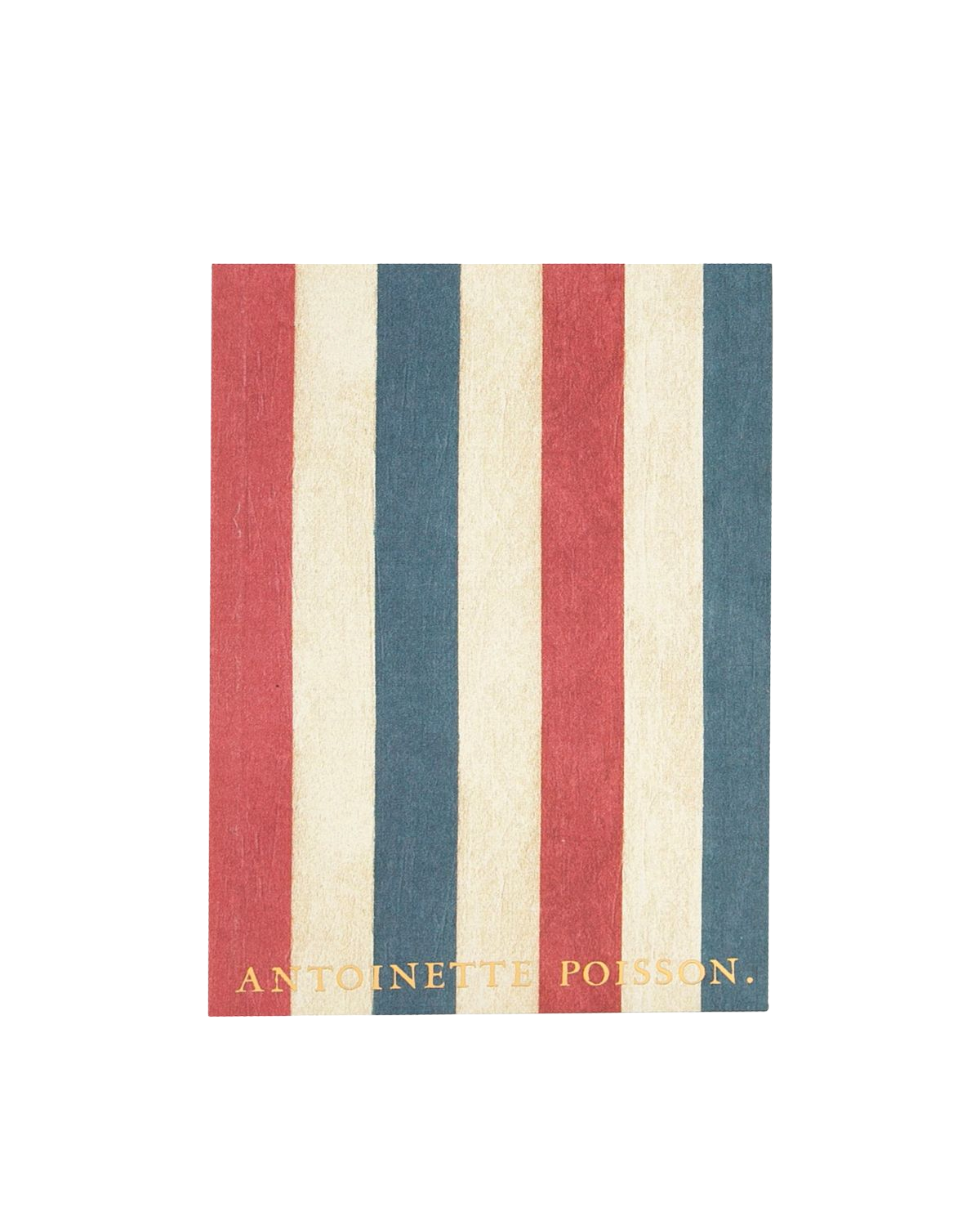 petit-cahier-rayure-tricolore-de-face (1)