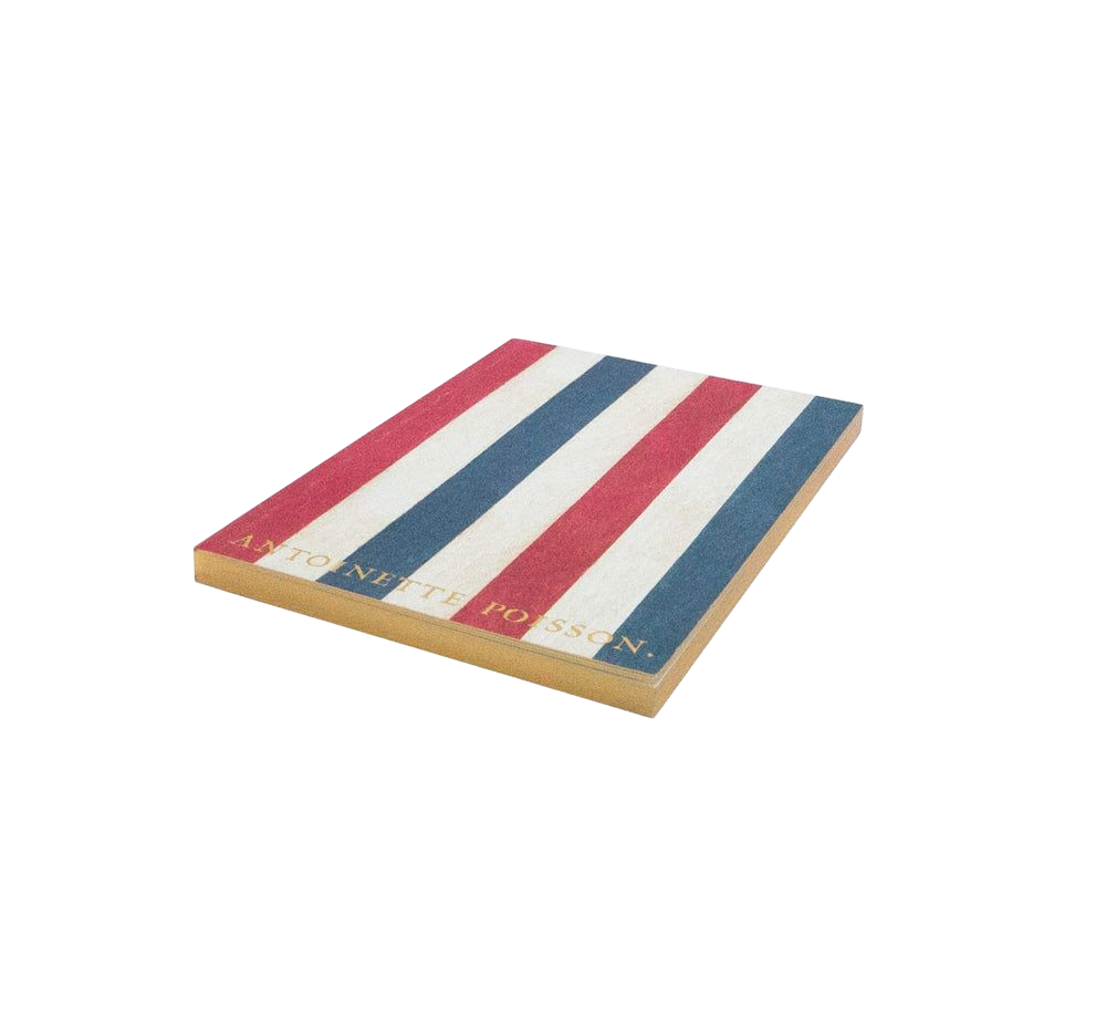 petit-cahier-rayure-tricolore-de-cote-scaled