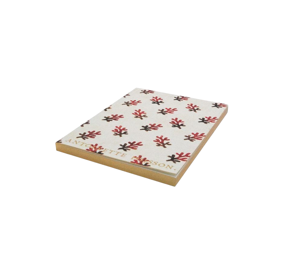 petit-cahier-corail-de-cote-scaled
