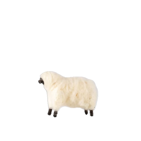 Le Mouton - 1