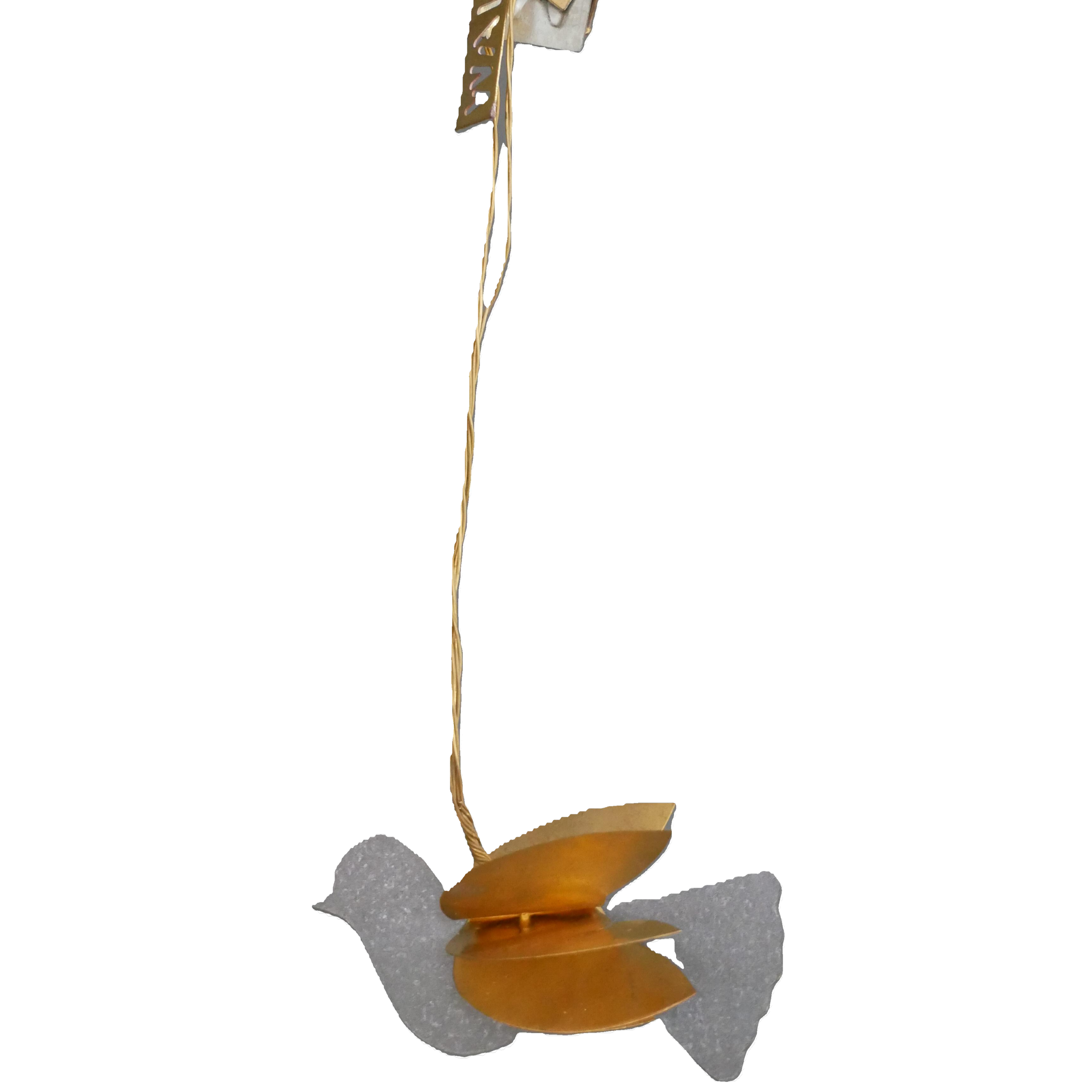 Petit oiseau 3