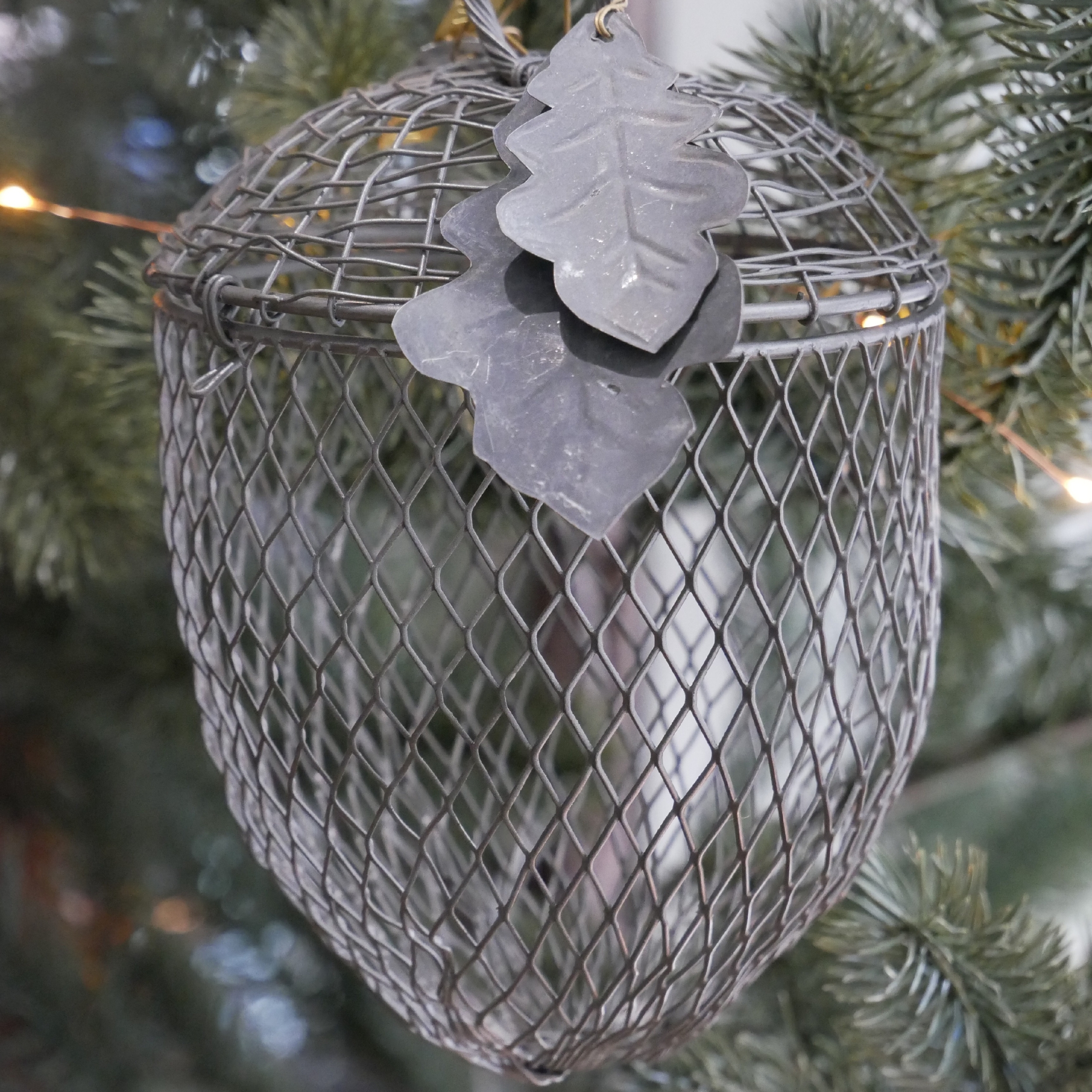 Mangeoir à oiseaux, gland 2