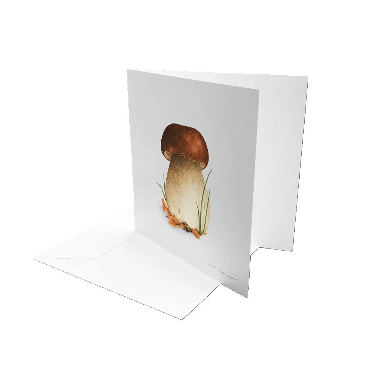 Coffret Cartes Correspondance Champignons 1