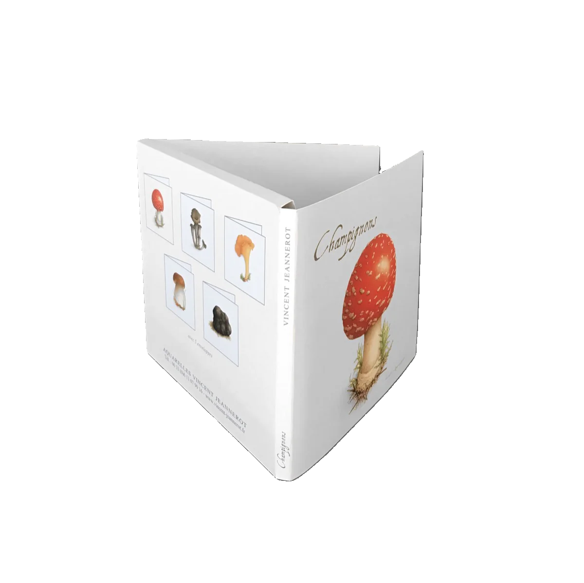 Coffret Cartes Correspondance Champignons 3