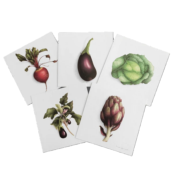 Coffret Correspondance  Cartes Légumes