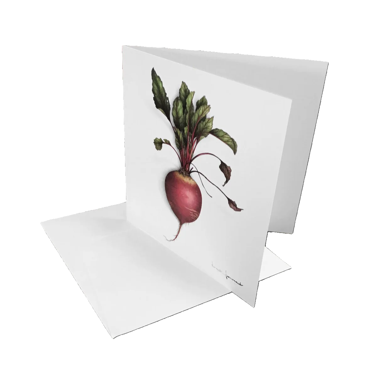 Coffret de Correspondance Cartes Légumes 3