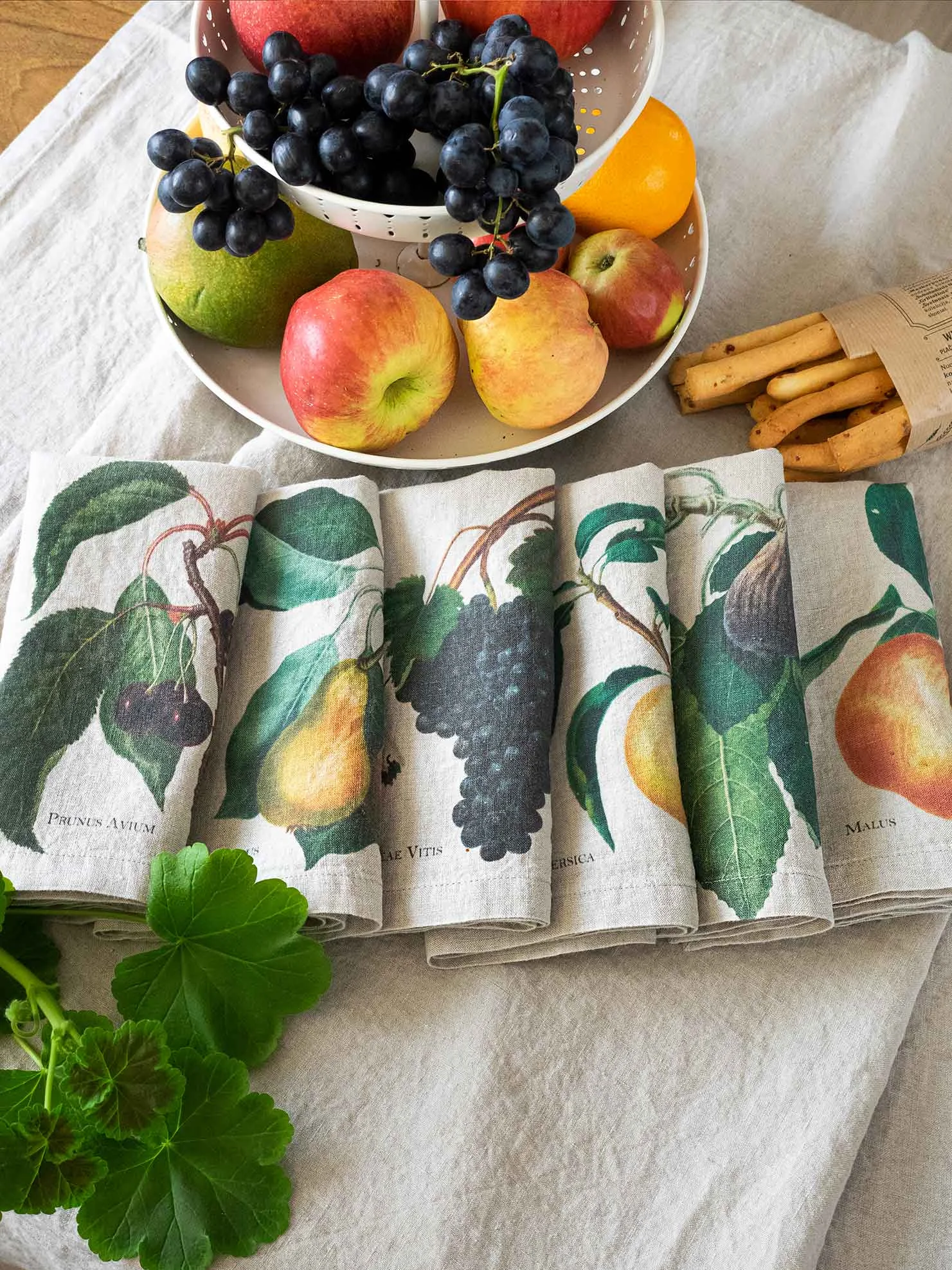 Serviettes lin fruits 1