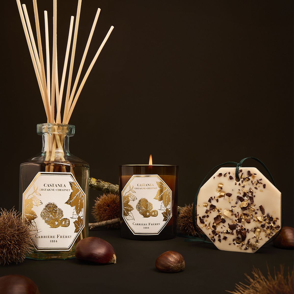 bougie-parfumee-diffuseur-palet-botanique-chataigne-carriere-freres