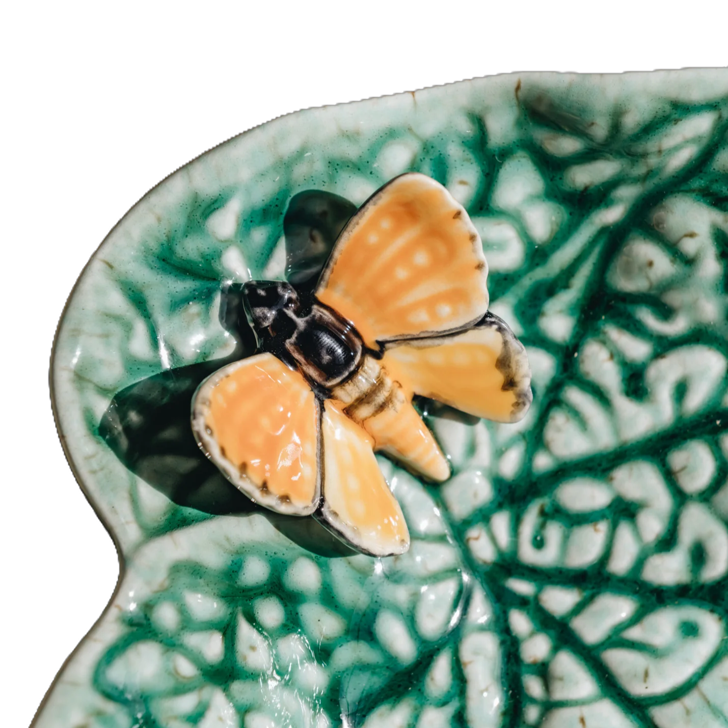 65024054-feuille-begonia-papillon-countryside-leaves-bordallo-pinheiro-1